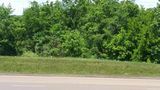 41.8 Hwy 127, Pikeville, TN 37367